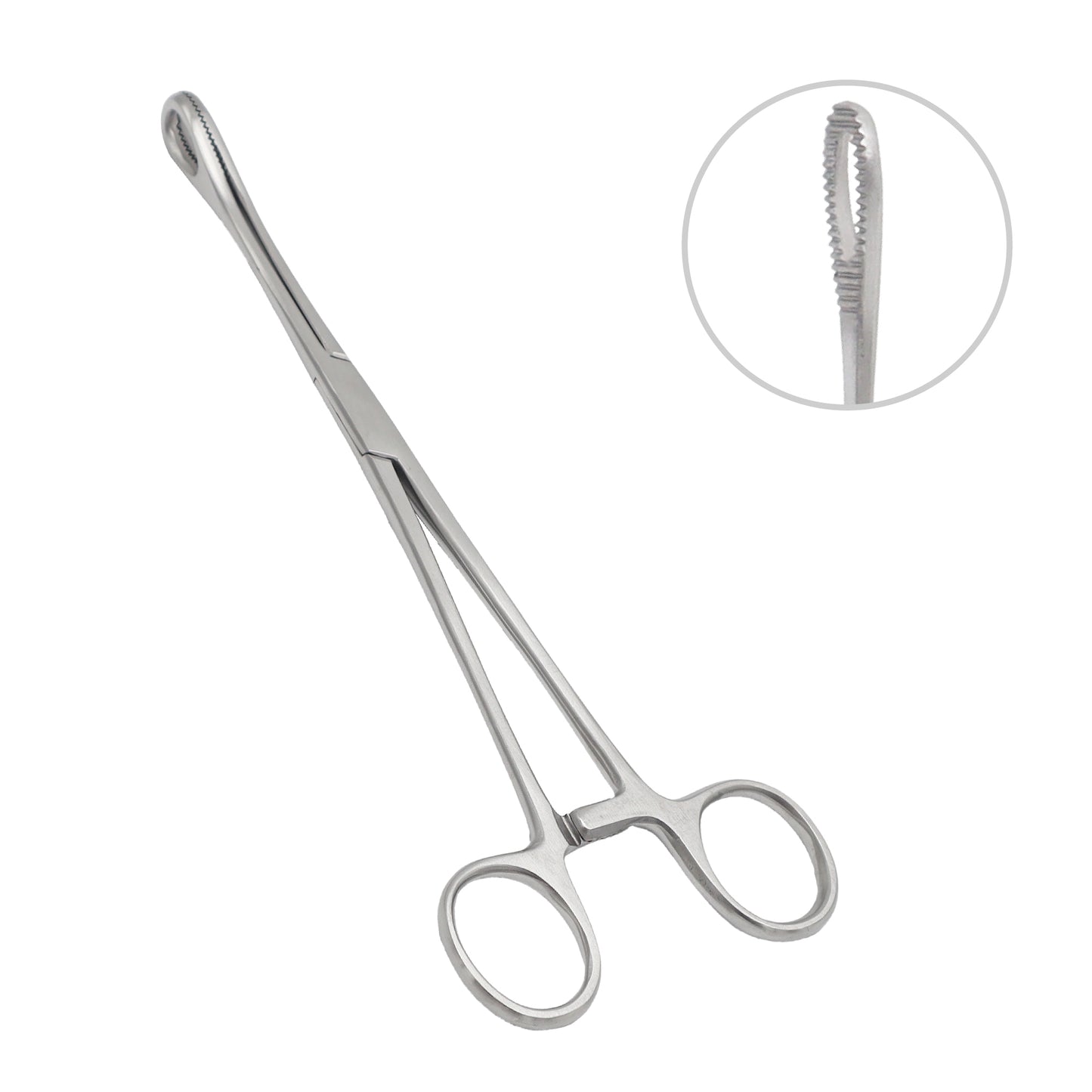 Close-up of Allis Tissue Forceps made of surgical stainless steel, featuring a ratchet locking handle and specialized 5x6 interlocking teeth on the blunt tips for secure tissue grasping.