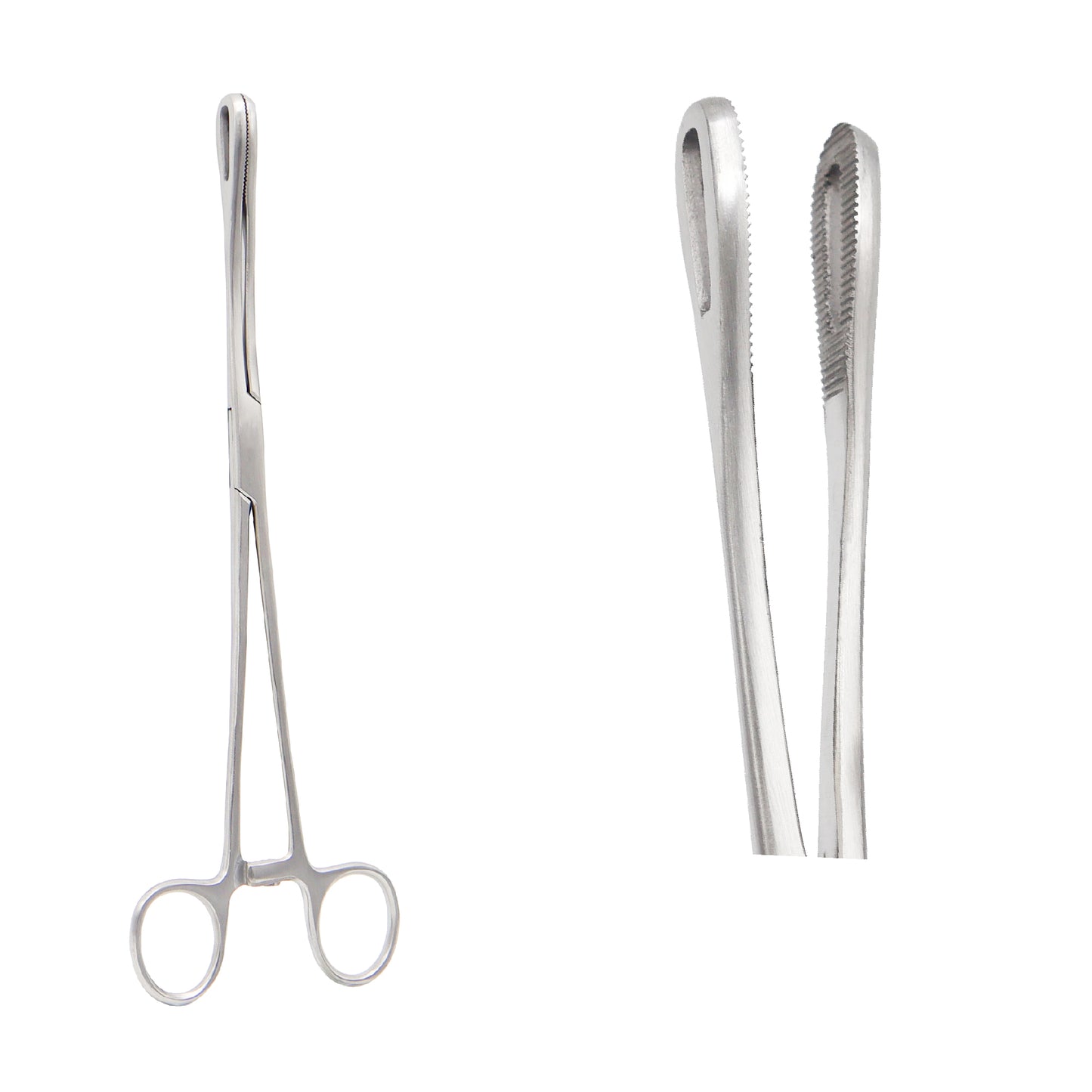 Straight Foerster sponge holding forceps with finger ring handles, a ratchet locking mechanism, and oval-looped fenestrated jaws featuring inner transverse serrations for gripping surgical gauze.
