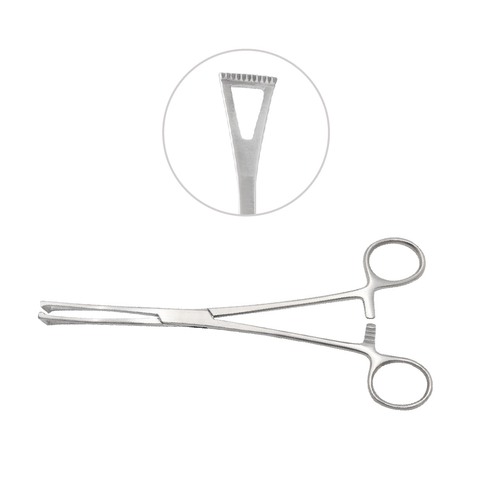 Stainless steel Collin Organ Grasping Forceps featuring a straight body, ratchet locking handle, and a close-up detail of its signature triangular fenestrated tips with serrated edges for secure tissue grip.