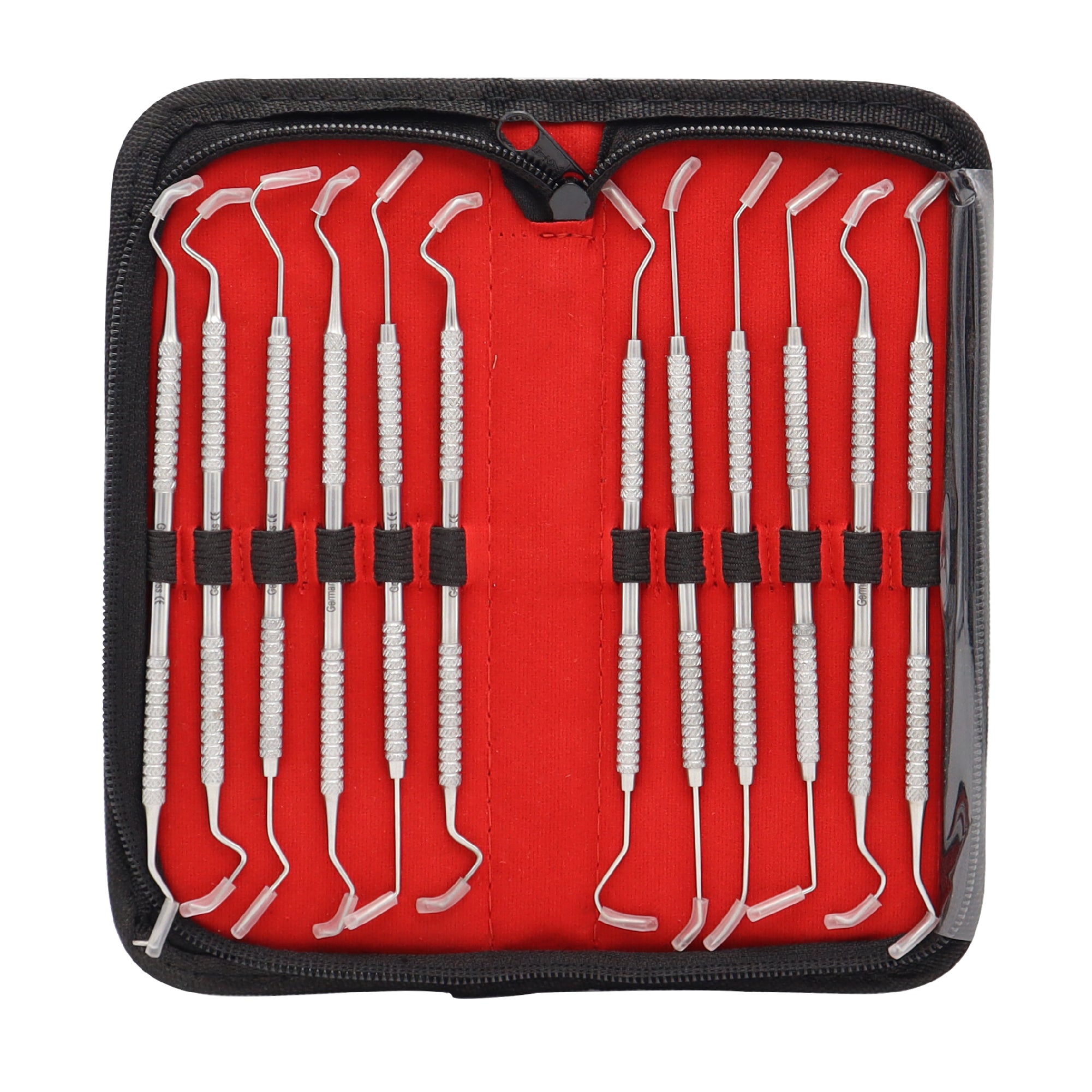 Dental Probe Pick Tool Instrument Set – 12 Pcs (Stainless Steel ...