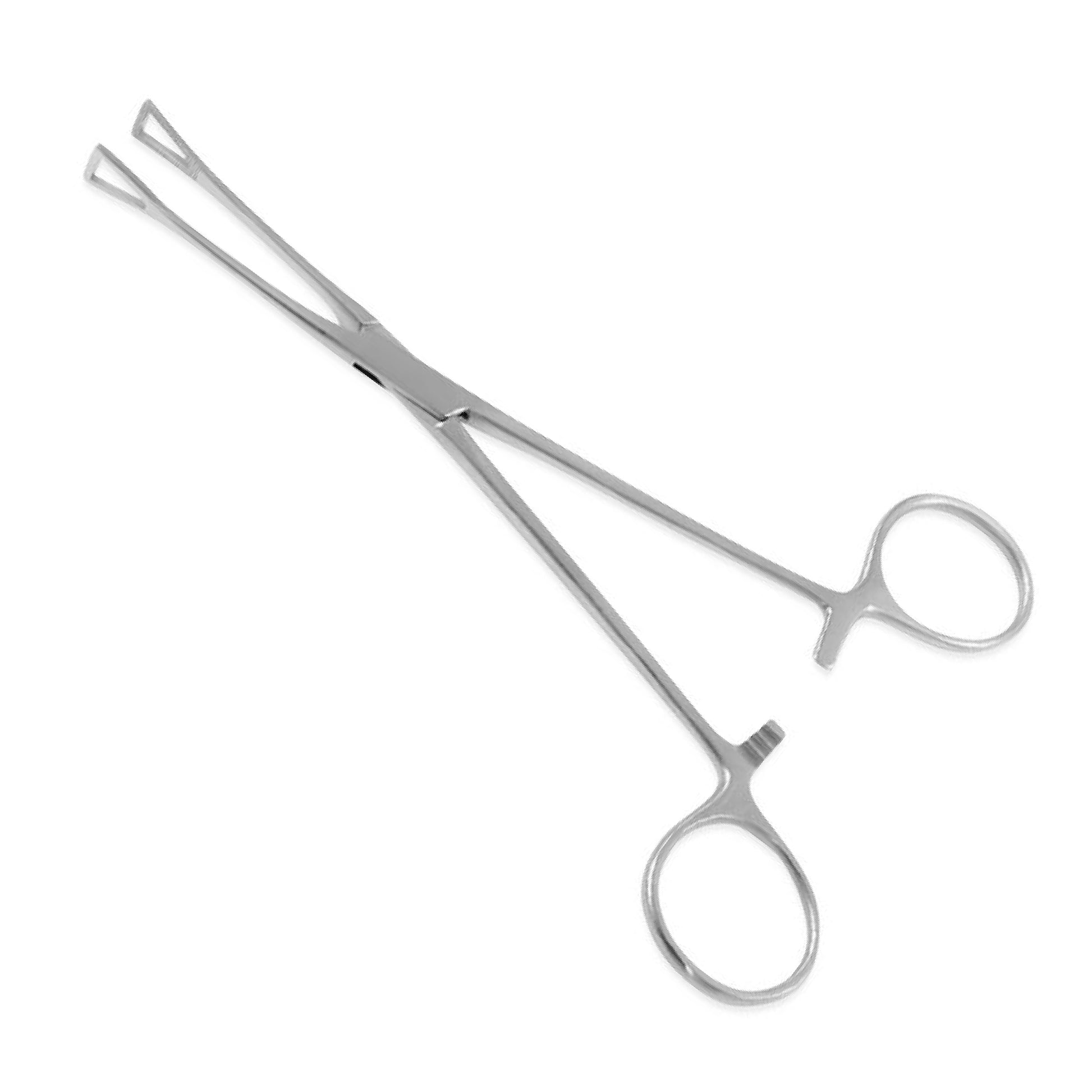 A pair of stainless steel Allis tissue forceps with interlocking toothed jaws and a ratchet locking handle, shown on a white background.