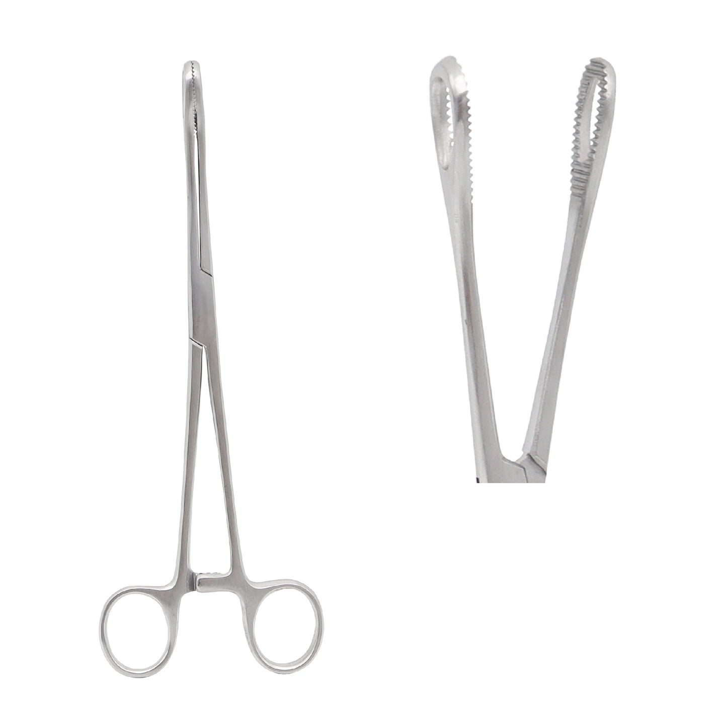 Straight Allis tissue forceps with interlocking serrated teeth and ratchet locking handle, displayed on a white background.