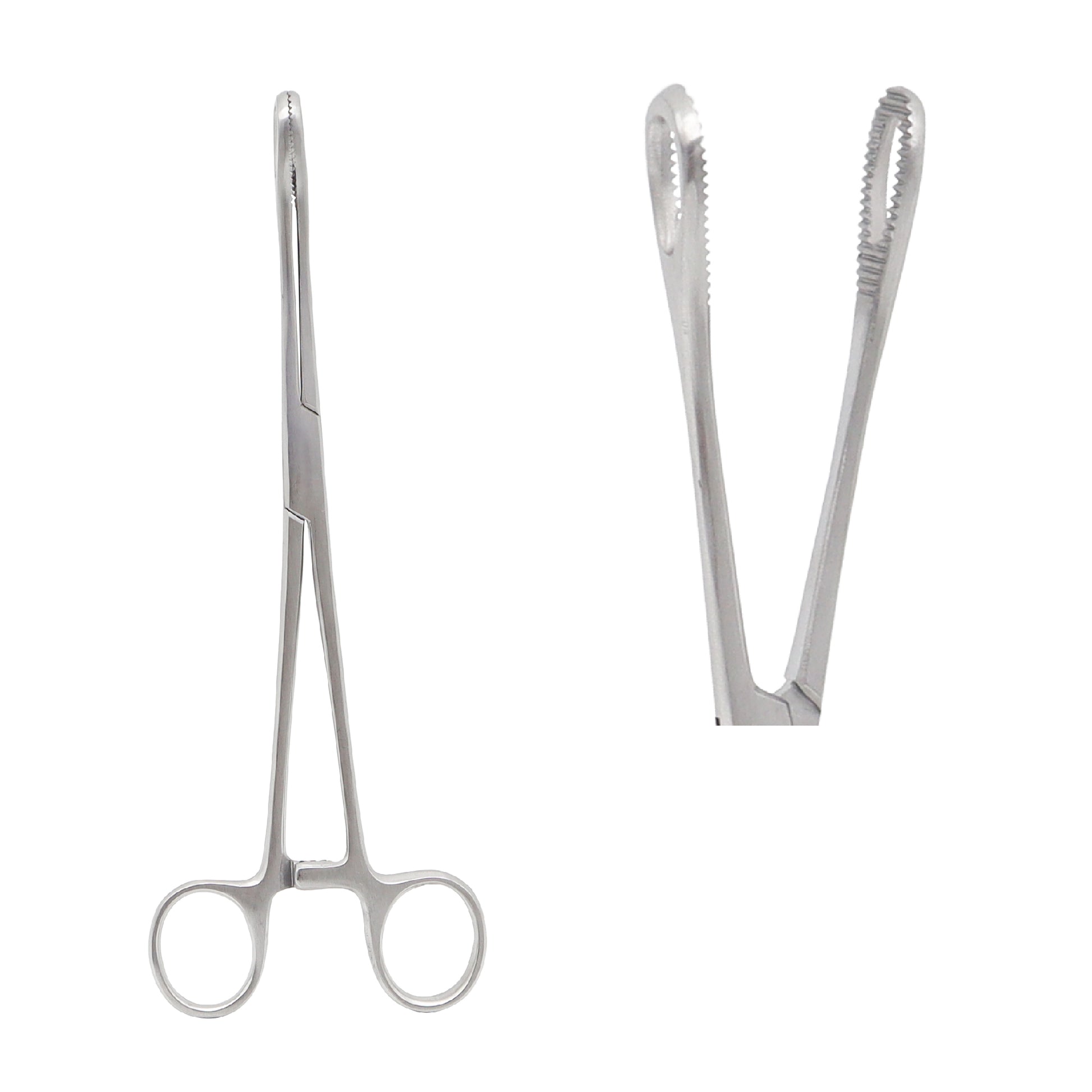 Straight Allis tissue forceps with interlocking serrated teeth and ratchet locking handle, displayed on a white background.