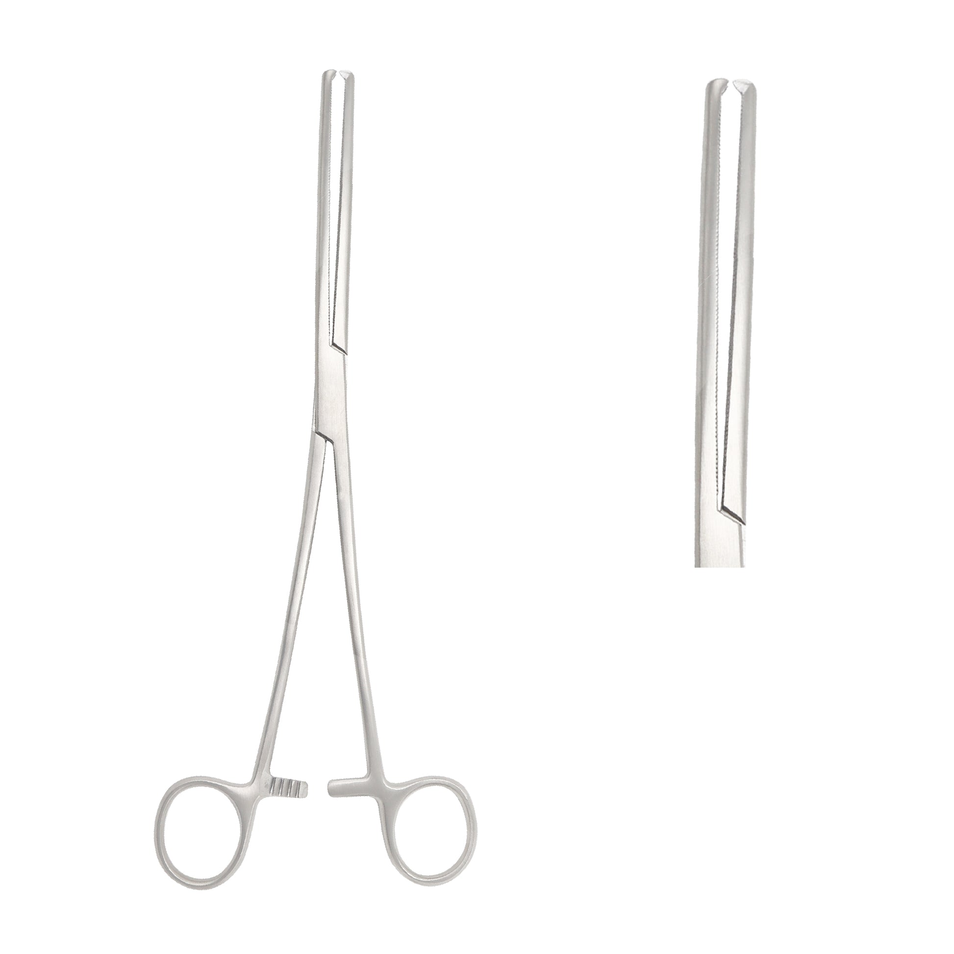 A pair of surgical-grade stainless steel Bozeman sponge forceps shown in a straight design with a finger ring handle and a ratchet locking mechanism, featuring a detailed inset view of the serrated jaws used for a secure grip during medical procedures.
