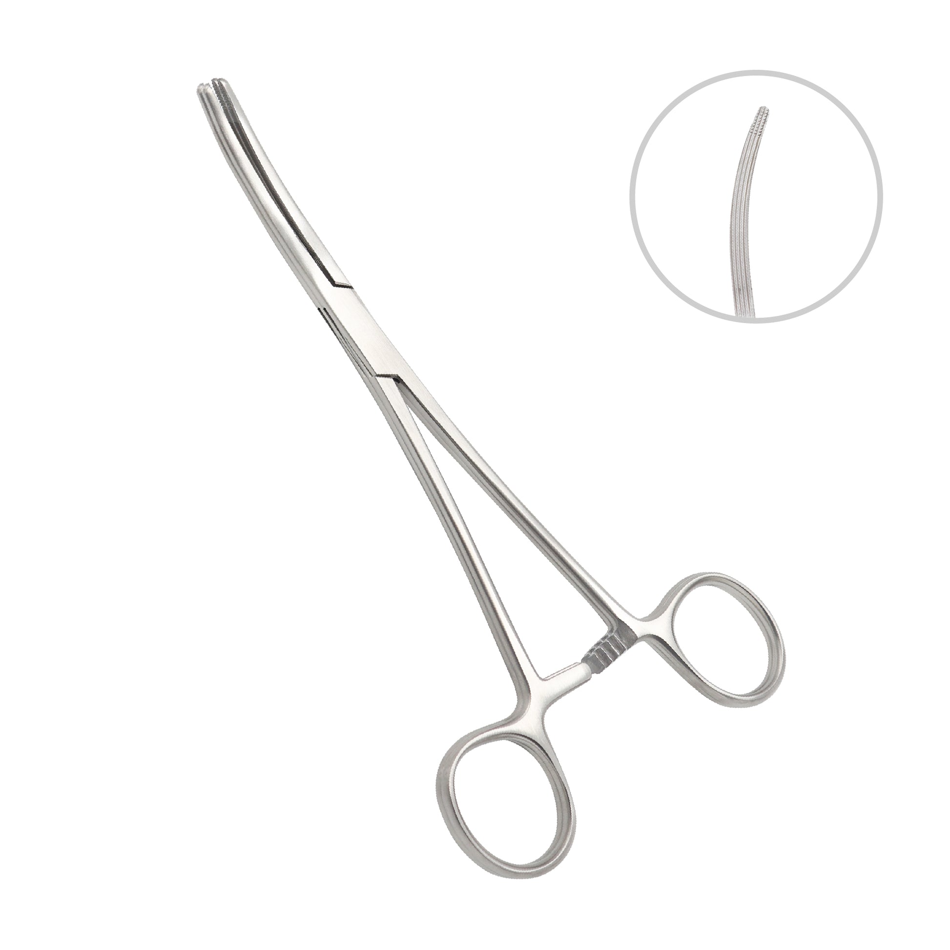 Stainless steel curved Mayo surgical scissors with rounded tips and finger ring handles, isolated on a white background with a detail inset showing blade serrations.