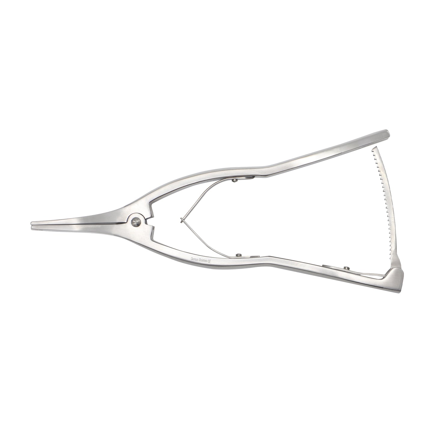 Metallic bow with a white background