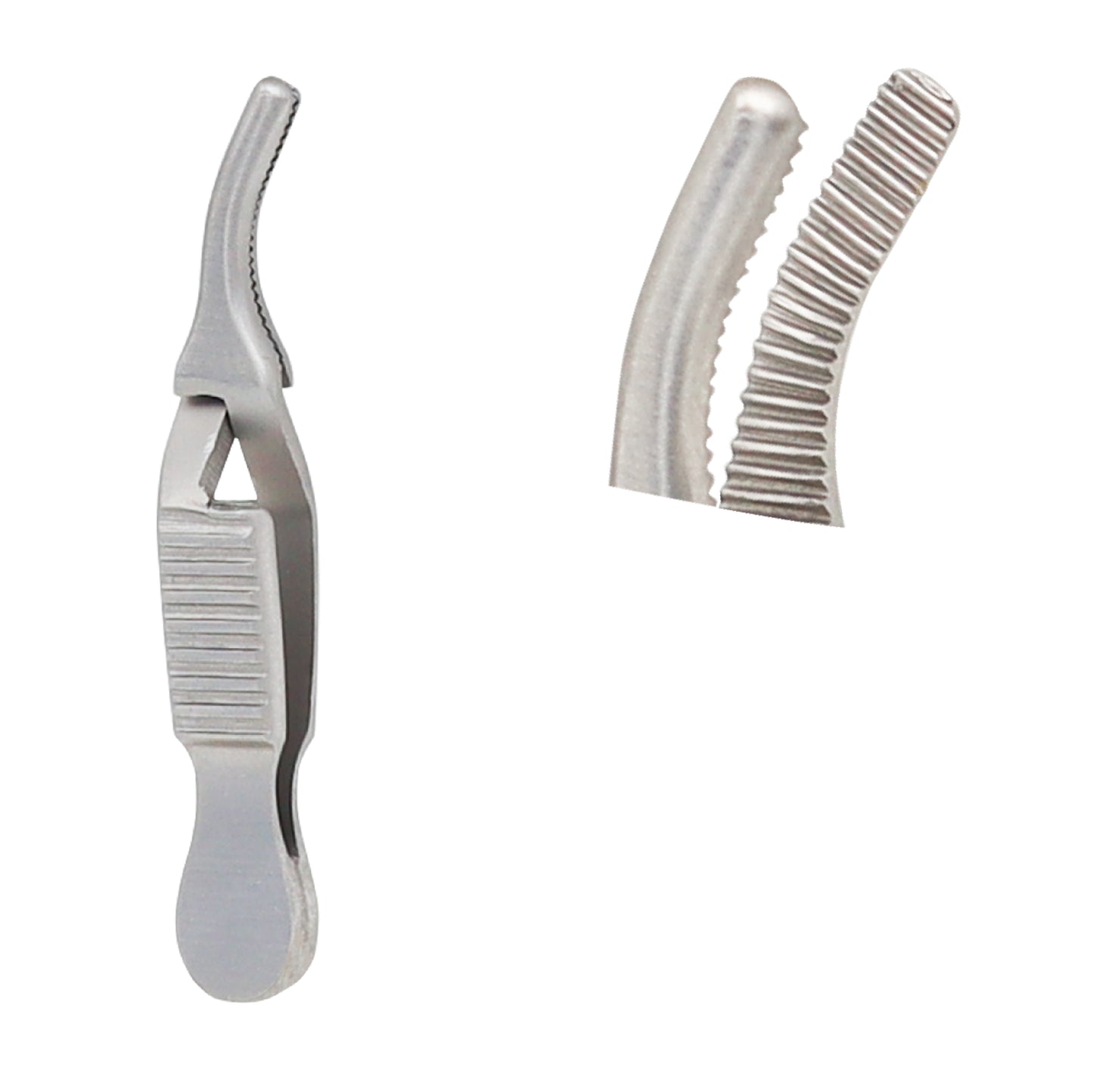 Dieffenbach Serrefine, Curved, overall length 4.5cm