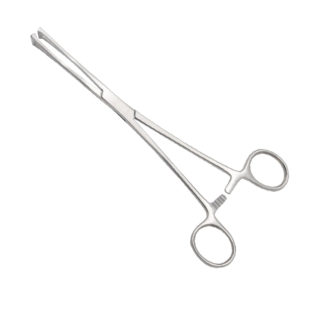 Straight Allis Tissue Forceps with 5x6 interlocking teeth and a ratchet locking handle, made of surgical-grade stainless steel.