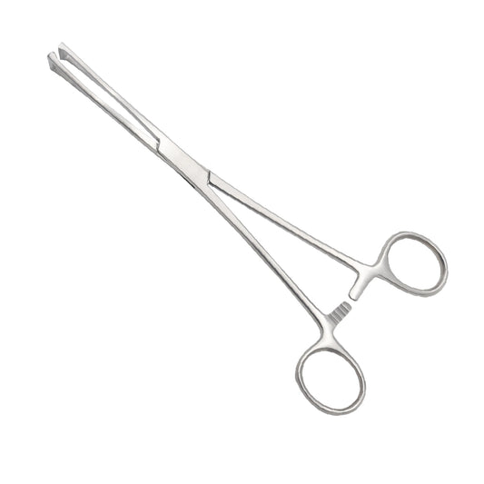 Straight Allis Tissue Forceps with 5x6 interlocking teeth and a ratchet locking handle, made of surgical-grade stainless steel.