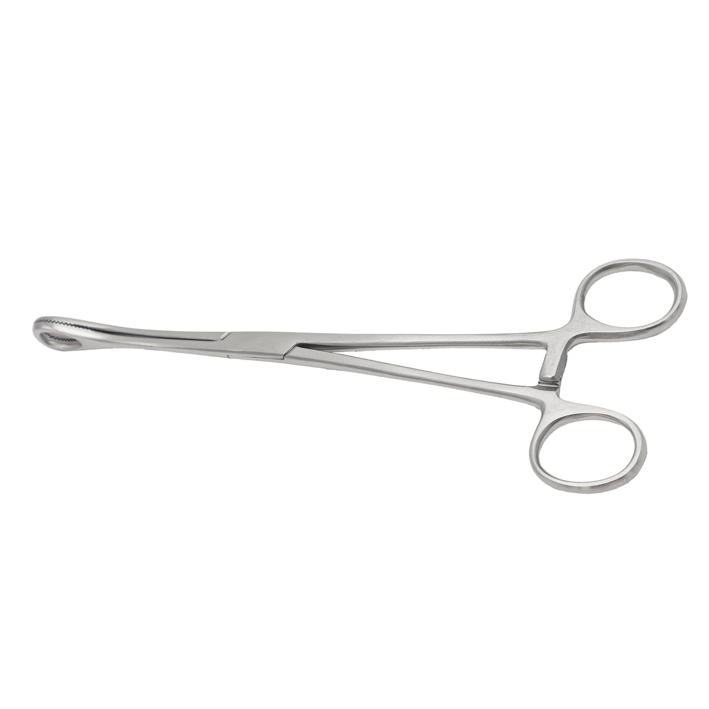 Babcock Tissue Holding Forceps with triangular fenestrated tips and ratchet locking handle on a white background.
