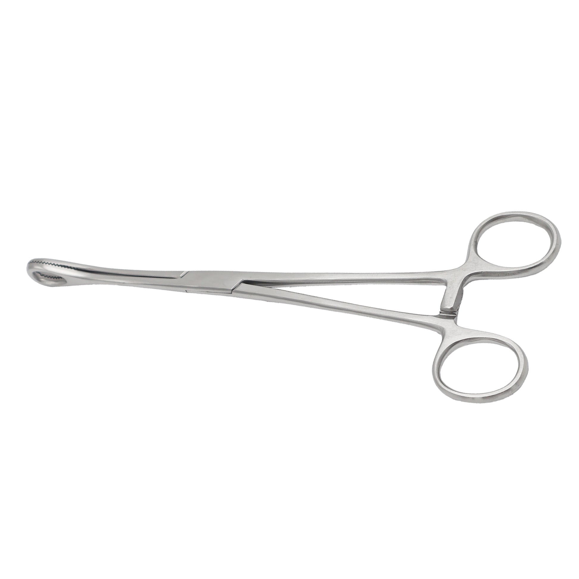 Babcock Tissue Holding Forceps with triangular fenestrated tips and ratchet locking handle on a white background.