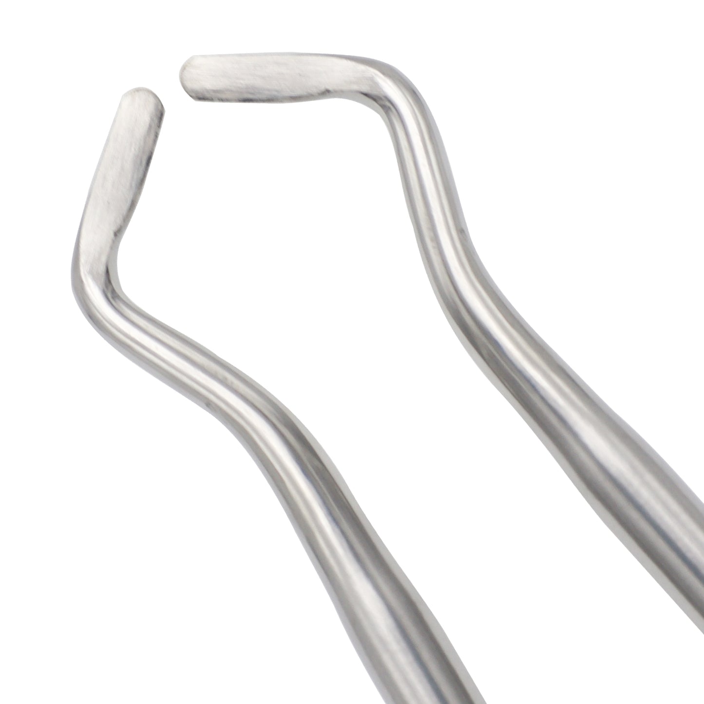 Close-up view of a pair of bi-angled surgical stainless steel dental apical elevators showing their curved working tips used for tooth extraction.