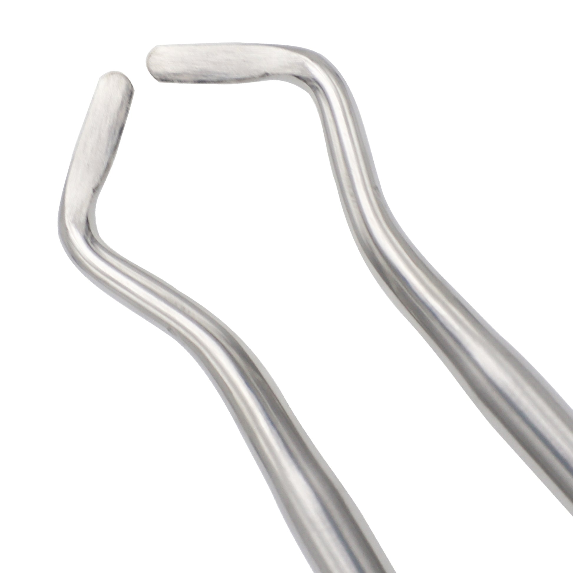 Close-up view of a pair of bi-angled surgical stainless steel dental apical elevators showing their curved working tips used for tooth extraction.