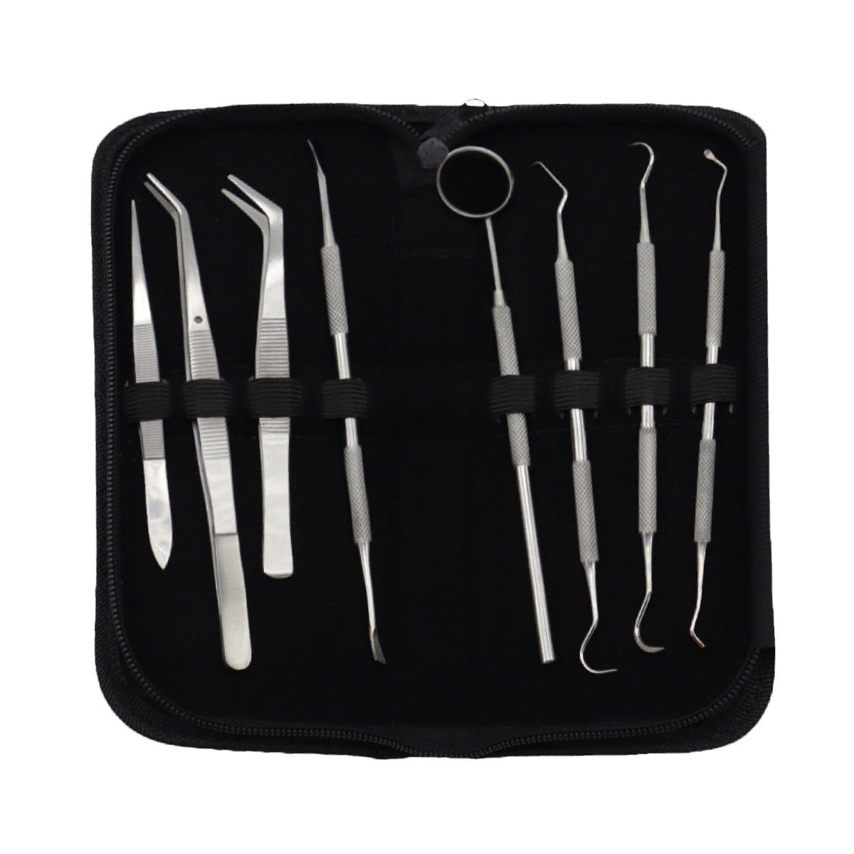 Professional 10-piece stainless steel dental hygiene kit with mouth mirror, tweezers, and scrapers arranged neatly inside an open black zippered storage case.