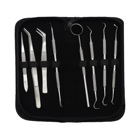 Professional 10-piece stainless steel dental hygiene kit with mouth mirror, tweezers, and scrapers arranged neatly inside an open black zippered storage case.
