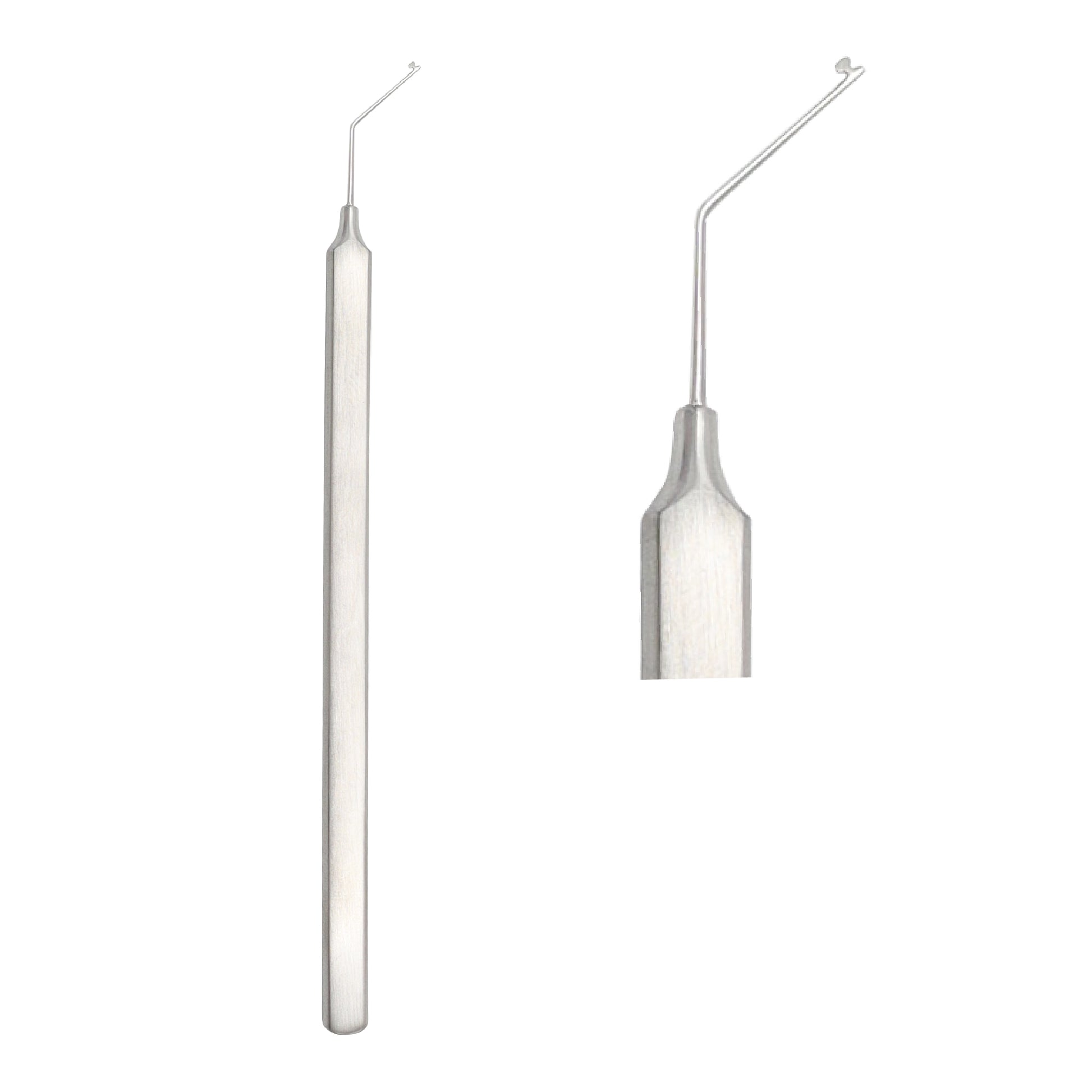 Buchanan endodontic hand plugger instrument featuring a long manual handle on the left and a detachable heated carrier tip on the right, shot against a clean white background.