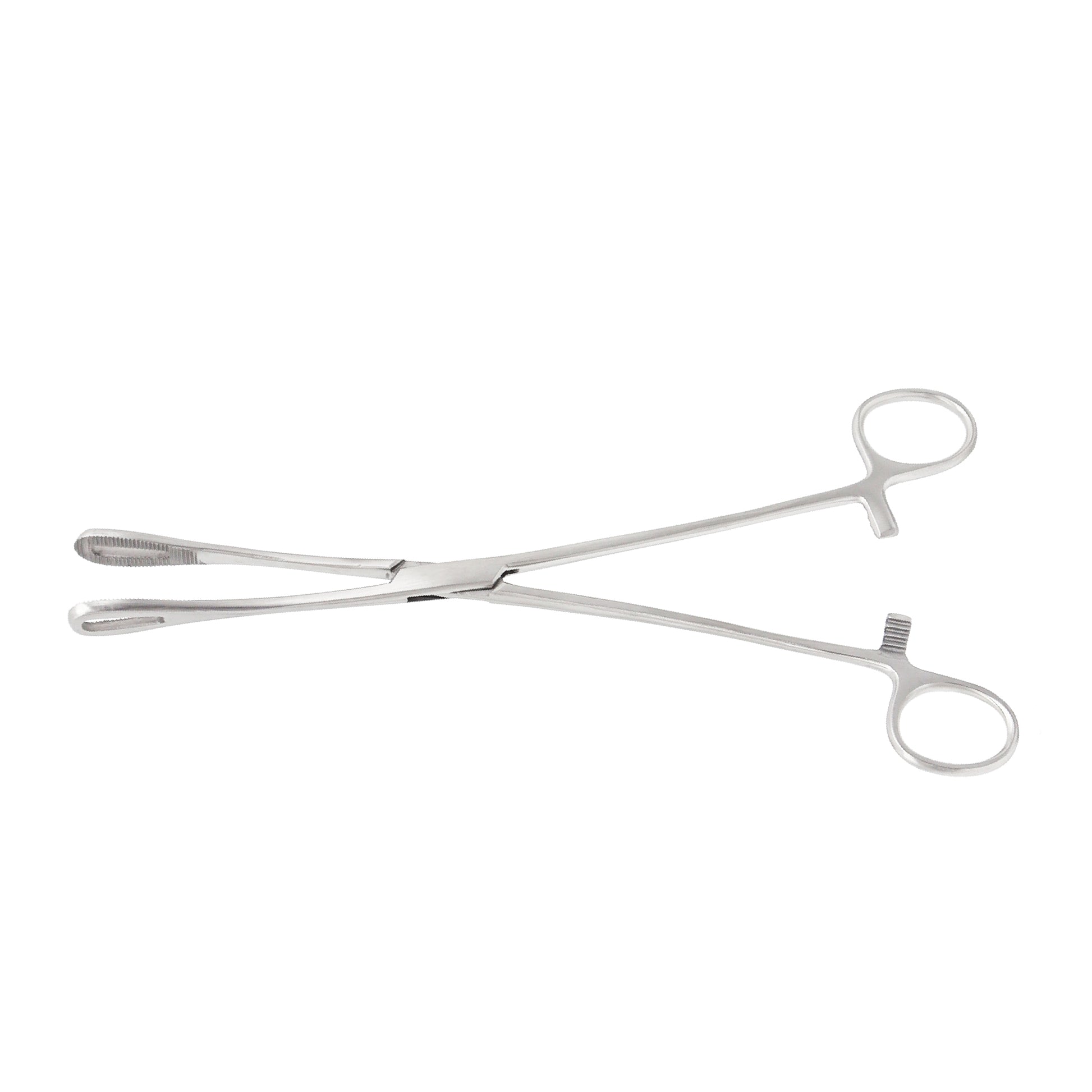 Foerster sponge forceps with straight serrated fenestrated loops and ratcheted locking handle on a white background.