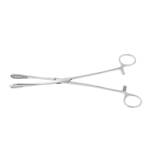 Foerster sponge forceps with straight serrated fenestrated loops and ratcheted locking handle on a white background.