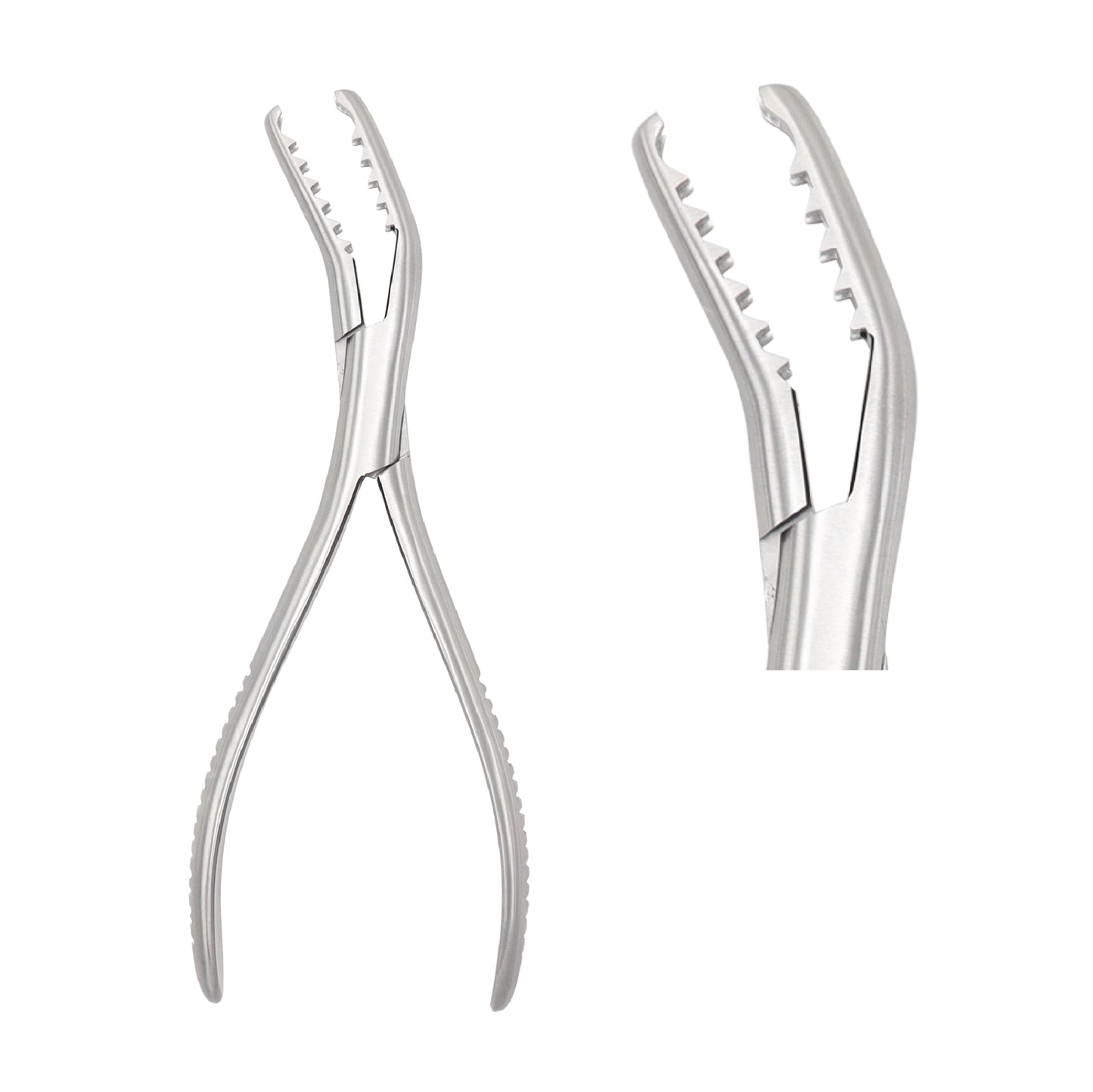 Semb Bone Holding Forceps with curved serrated jaws, 19cm length, stainless steel orthopedic surgical instrument.