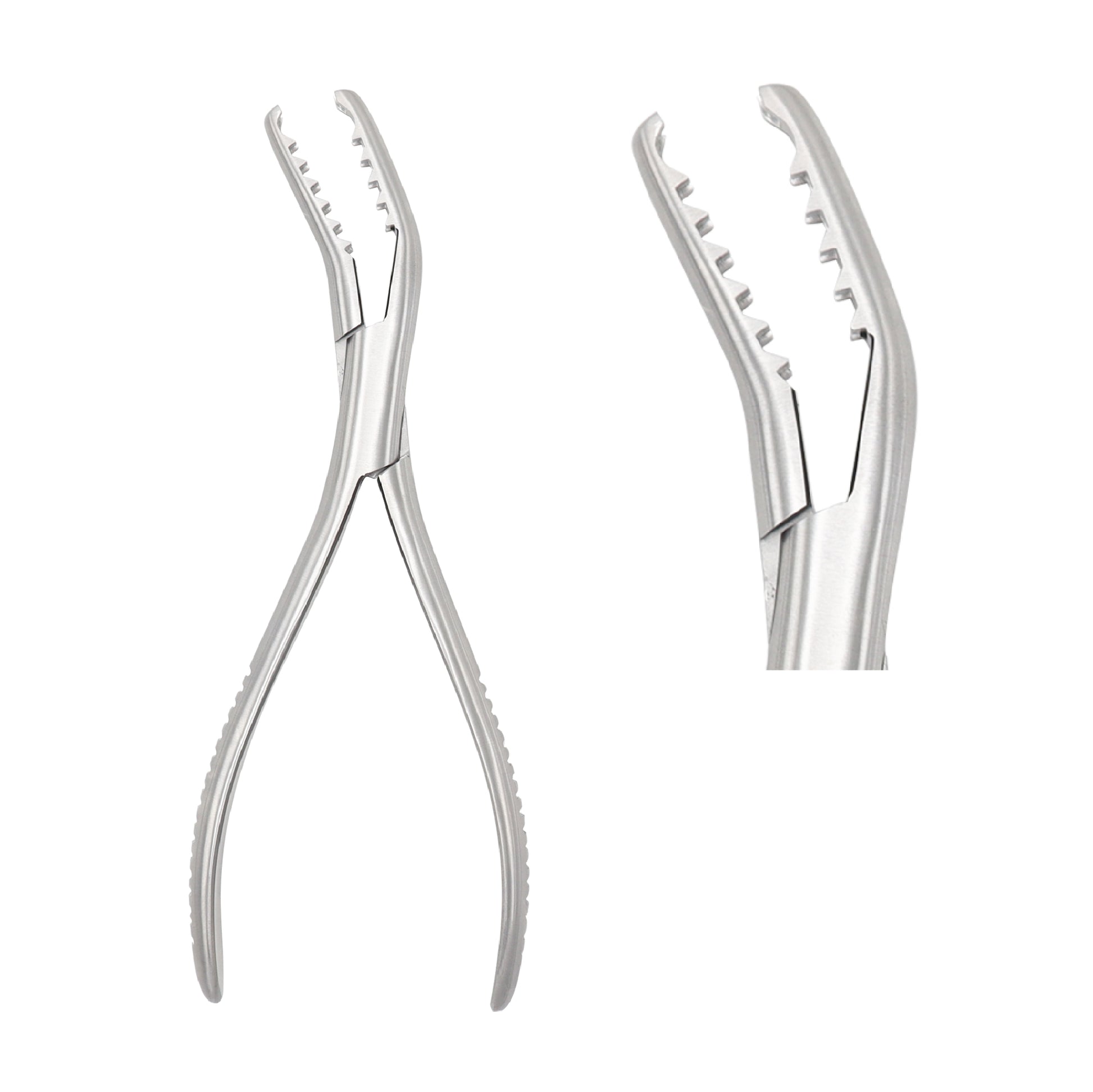 Semb Bone Holding Forceps with curved serrated jaws, 19cm length, stainless steel orthopedic surgical instrument.