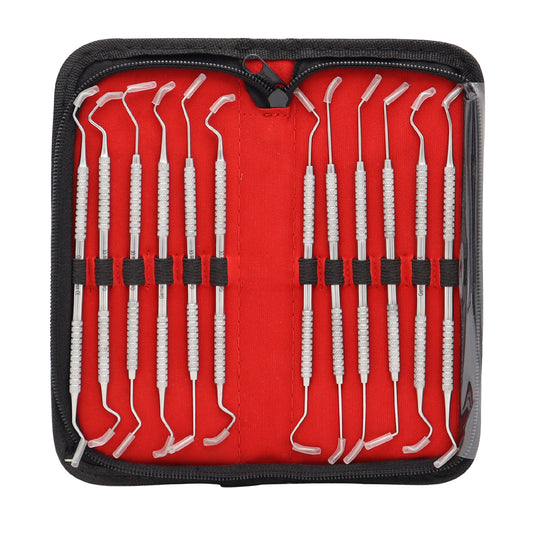 A set of 12 stainless steel dental probe pick tools in various sizes, displayed neatly in a black case with red lining.