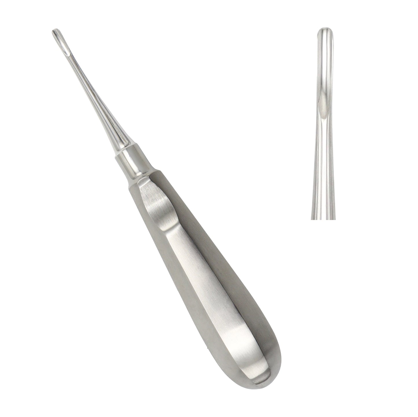 Straight dental root elevator tool with a concave blade tip and ergonomic bulbous handle featuring a thumb rest for tooth extraction procedures.