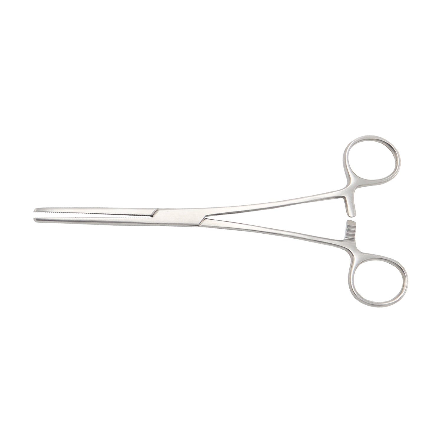 A straight, 20cm Rochester Pean Hemostatic Forceps made of stainless steel with serrated jaws.